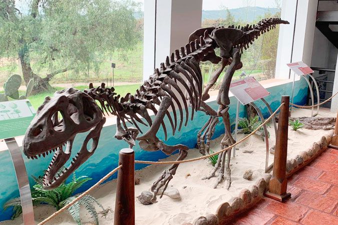 Centro de Investigaciones Paleontológicas – CIP, Colombia