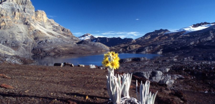 Dónde está el Parque nacional natural El Cocuy, Colombia