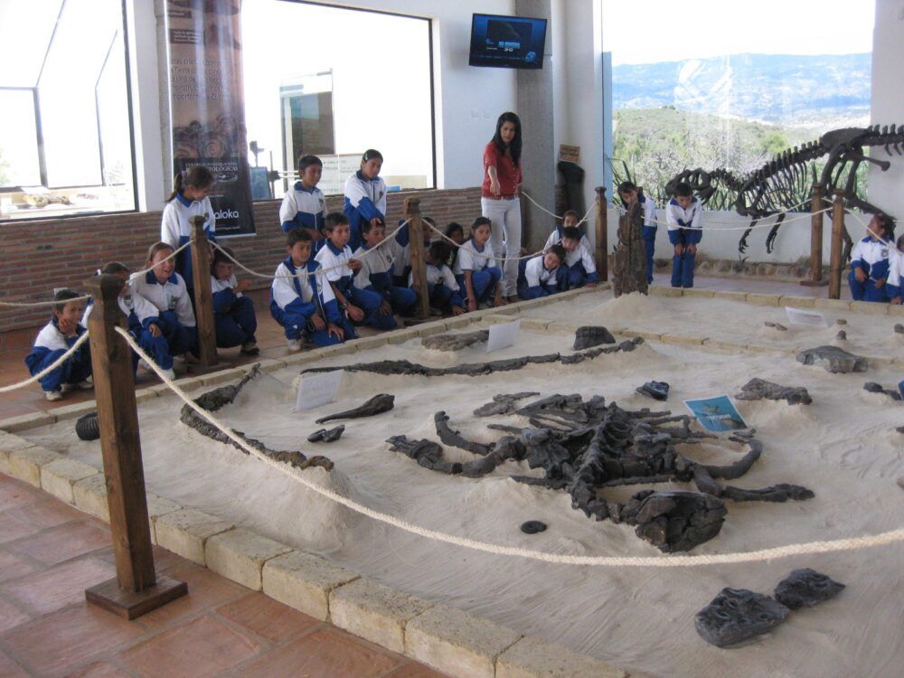 ¿Dónde está el Centro de Investigaciones Paleontológicas – CIP, Colombia?