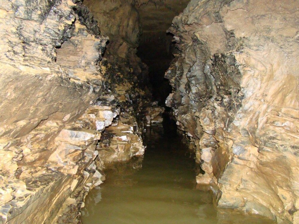 Cueva De La Vaca Tu Reserva Curiti